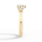 Kaitlin Heart Cut Lab Grown Diamond 18Kt Yellow Gold Engagement Ring - View 3