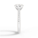 Danielle Oval Cut Lab Grown Diamond Platinum Engagement Ring - View 2