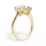 Leticia Emerald Cut Lab Grown Diamond 18Kt Yellow Gold Engagement Ring - View 3