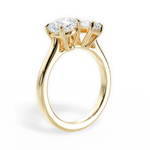 Ellen Emerald Cut Lab Grown Diamond 18Kt Yellow Gold Engagement Ring - View 4