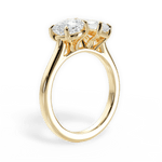 Ellen Radiant Cut Lab Grown Diamond 18Kt Yellow Gold Engagement Ring - View 4