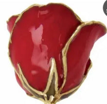 Load image into Gallery viewer, Real semi-opened rose petals dipped in lacquer and trimmed in 24kt gold.