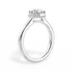 Felicia Round Cut Lab Grown Diamond Platinum Engagement Ring - View 3