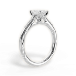 Christina Emerald Cut Lab Grown Diamond Platinum Engagement Ring - View 3