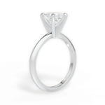 Alicia Princess Cut Lab Grown Diamond 14Kt White Gold Engagement Ring - View 3