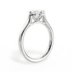 Bernadette Emerald Cut Lab Grown Diamond Platinum Engagement Ring - View 3