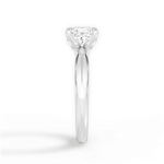 Amanda Princess Cut Lab Grown Diamond 14Kt White Gold Engagement Ring - View 4