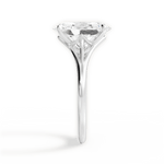 Anita Oval Cut Lab Grown Diamond Platinum Engagement Ring - View 2