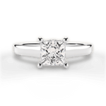 Ariana Princess Cut Lab Grown Diamond 14Kt White Gold Engagement Ring