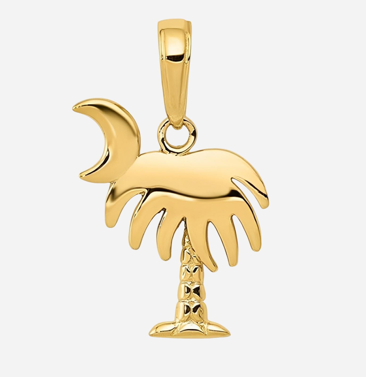 Charm of Charleston palm tree with moon